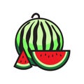 Sliced ripe watermelon. Vector illustration. EPS10