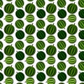 Watermelone pattern