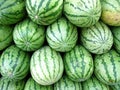 Watermelons