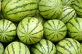 Watermelons