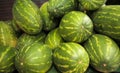 Watermelons