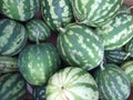 Watermelons