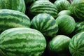 Watermelons Royalty Free Stock Photo