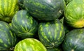 Watermelons. Big and ripe watermelons in the market. Watermelons background. Royalty Free Stock Photo