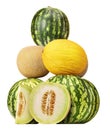 Watermelons, Cantaloupes And Sweet Honeydew Melon