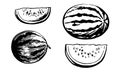 Watermelons. Hand drawing. Watermelons drawn by felt-tip pen on paper. Ripe watermelon. Black and white monochrome contour line dr Royalty Free Stock Photo