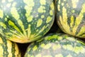 Watermelons in the market close-up Royalty Free Stock Photo