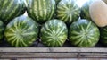 watermelons and melon for sale in a farmer market