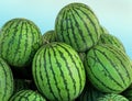 Watermelons pile