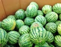 Watermelons For Sale