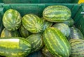 Watermelons sale in the market