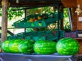 Watermelons For Sale