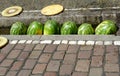 Watermelons in small city stream called BÃÂ¤chle in Freiburg which are typical feature of the city.