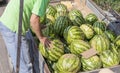 Watermelons on a spontaneous market by the highway