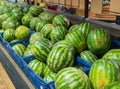 Watermelons on supermarket shelf or farmers market. Fresh organic water melon fruit for sale in grocery store. Healthy fruit for Royalty Free Stock Photo