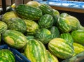 Watermelons on supermarket shelf or farmers market. Fresh organic water melon fruit for sale in grocery store. Healthy fruit for Royalty Free Stock Photo