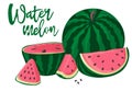 Watermelons, whole, half and slices. Green striped berry with red pulp and brown seeds