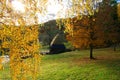 Watermill in Autumn Landscape