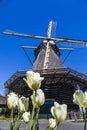 Watermill in the dutch landscape with tulips Royalty Free Stock Photo