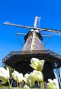 Watermill in the dutch landscape with tulips Royalty Free Stock Photo