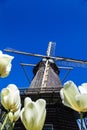 Watermill in the dutch landscape Royalty Free Stock Photo