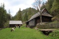 Watermill, Kvacany, Slovakia Royalty Free Stock Photo
