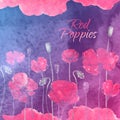 Waterolor red poppies on purpure background Royalty Free Stock Photo