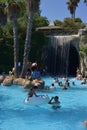 Waterpark Antalya Royalty Free Stock Photo