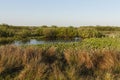 Waterplas, Lake Royalty Free Stock Photo