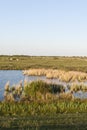 Waterplas op Schiermonnikoog, Lake at Schiermonnikoog Royalty Free Stock Photo