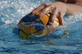 Waterpolo hand