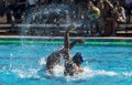 WATERPOLO MATCH - MATARO vs ATL. BARCELONETA Royalty Free Stock Photo