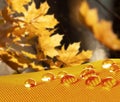 Waterproof fabric with waterdrops close up on background with yellow maple leaves