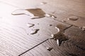 Waterproof flooring - spilled water drops on wooden laminate floor Royalty Free Stock Photo