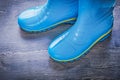 Waterproof gardening gumboots on wood board agriculture concept