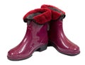 Waterproof gum boots Royalty Free Stock Photo