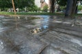 waterproof outer coating wet. stamped concrete pavement Royalty Free Stock Photo