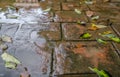 Waterproof outer coating wet. stamped concrete pavement Royalty Free Stock Photo