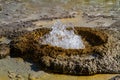 Bubbling Geyser Hole Royalty Free Stock Photo