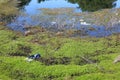 Waters Edge Littered with Rubbish