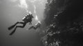 The waters grow colder and darker as the divers venture further into the abyss leaving behind the comfort of the surface