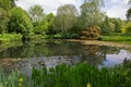 Waterscape of lake surrounded by woodland and wetland plants Royalty Free Stock Photo