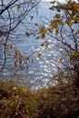 Water sparkles on the lake Royalty Free Stock Photo