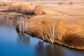 Waterside birch trees in autumn