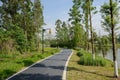 Waterside curving path in sunny spring morning Royalty Free Stock Photo