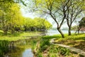 Waterside green trees and lotus leaf Royalty Free Stock Photo