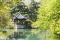 Waterside pavilion and green tree Royalty Free Stock Photo