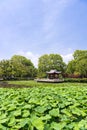 The waterside pavilion by the lotus pond Royalty Free Stock Photo