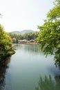 Waterside peach blossom Royalty Free Stock Photo