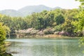 Waterside peach blossom Royalty Free Stock Photo